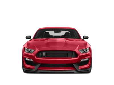 2019 Ford Mustang Shelby GT350